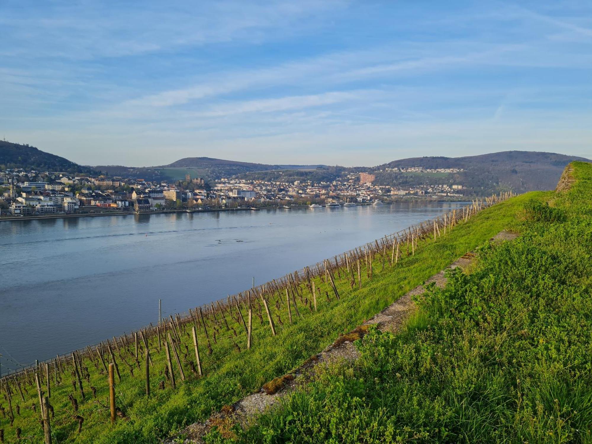 Ferienwohnungen Am Markt Rüdesheim am Rhein Eksteriør billede